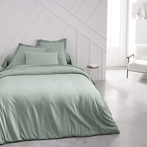 TODAY Essential - Drap Housse 160X200 cm 2 Personnes 100% Coton Uni, Celadon