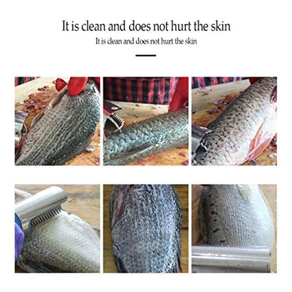 Ecailleur Électriques à Poisson avec 5 Types de Lames
