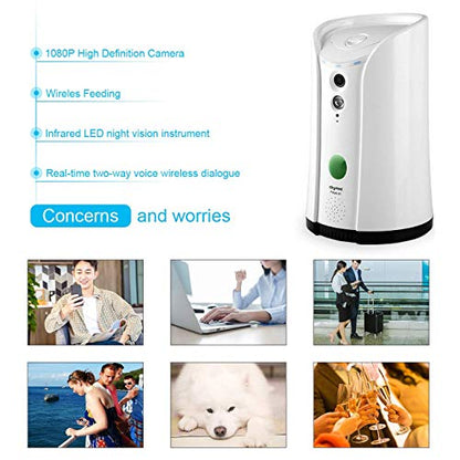 Caméra Audio Bidirectionnel Vision Nocturne pour Chien Surveillance à Distance WiFi