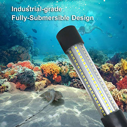 Lumière de peche sous marine 12-24v